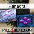 Kanagra 37
